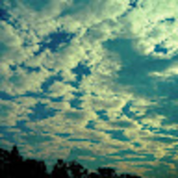tanya_sturm